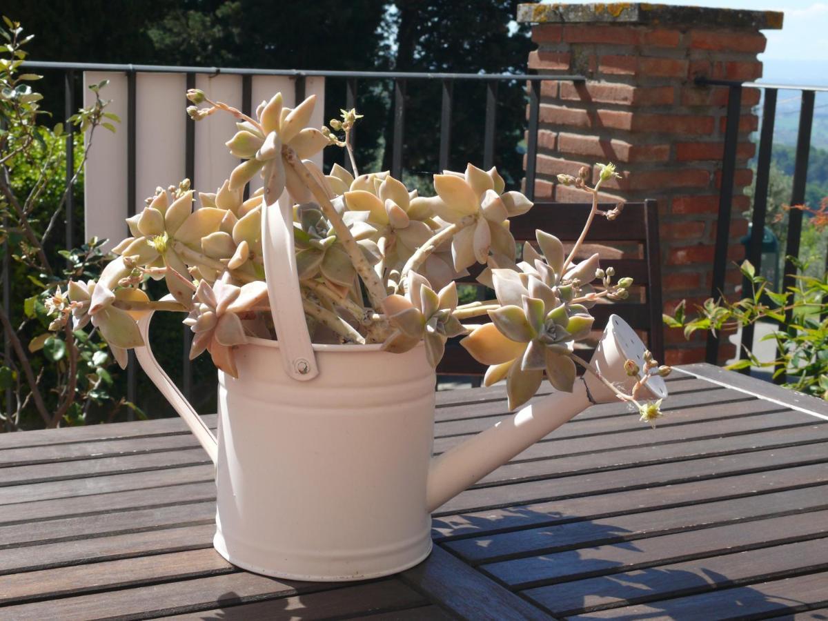 Bed and Breakfast Antica Bottega Di Vinci Exterior foto