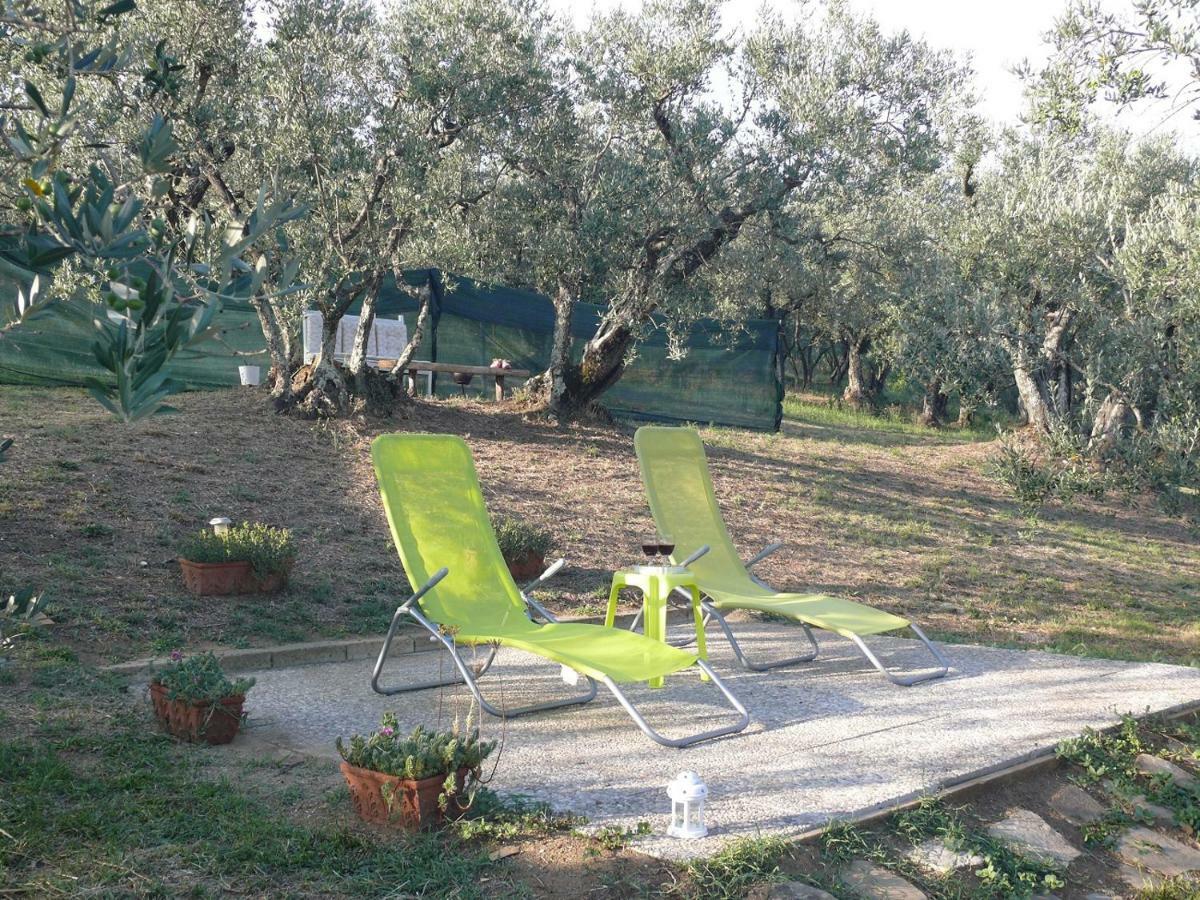 Bed and Breakfast Antica Bottega Di Vinci Exterior foto