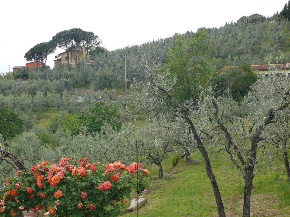 Bed and Breakfast Antica Bottega Di Vinci Exterior foto