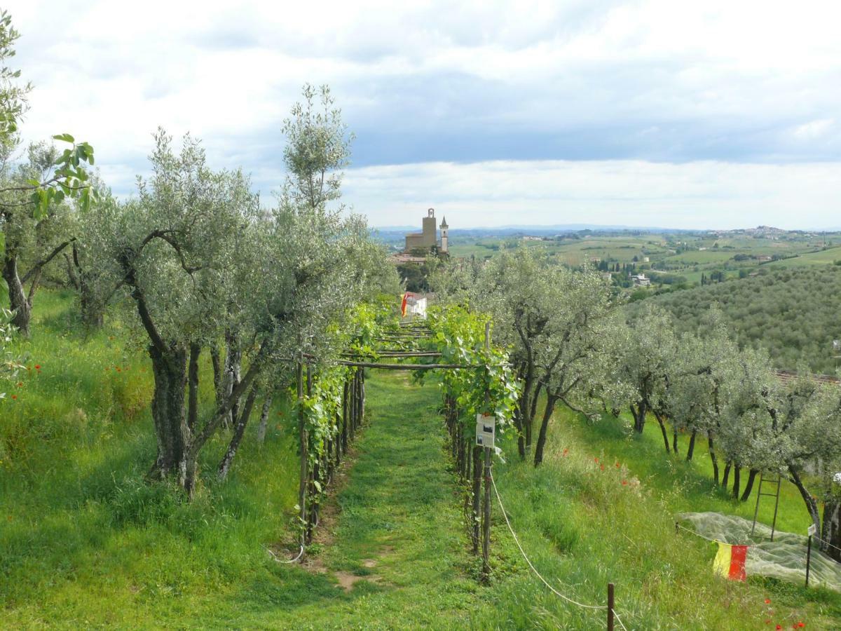 Bed and Breakfast Antica Bottega Di Vinci Exterior foto